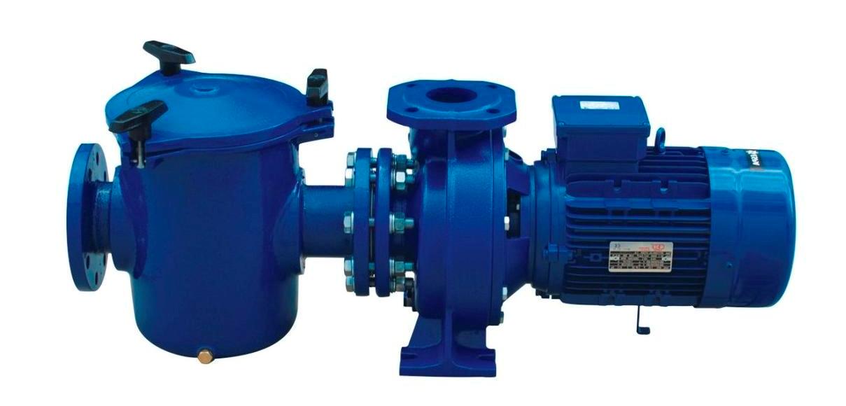 JG005    专业泳池泵/奥林匹克泳池泵